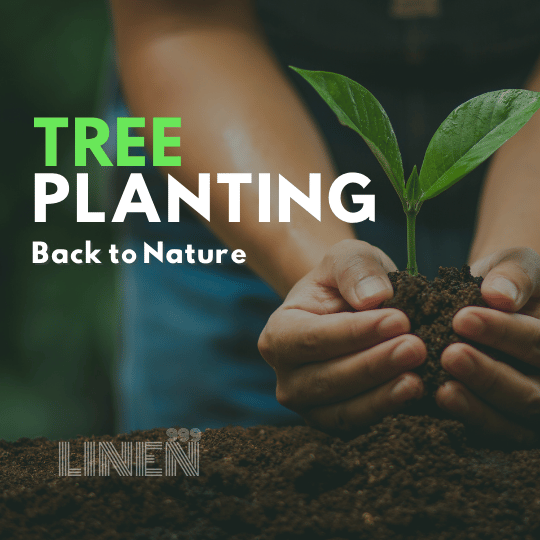 Giving Back to Nature